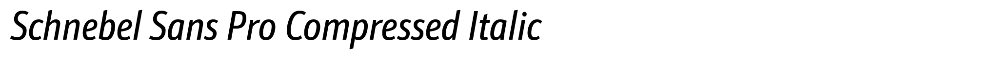 Schnebel Sans Pro Compressed Italic image